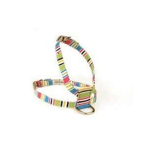 Crisp Beach Stripe Dog Collar (Small) 