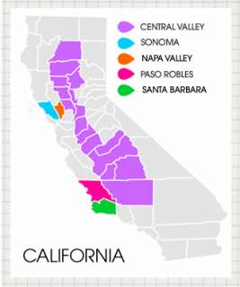The Drinks Guide   Californian wine   Selfridges  Shop Online