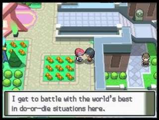 Pokémon Platin Kehre zurück in die Sinnoh Region und entdecke die 