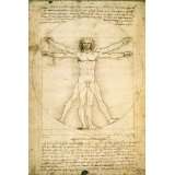 Poster Leonardo Da Vinci   Anatomy   Größe 61 x 91,5 cm   Maxiposter