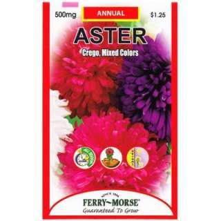 Ferry Morse Aster Crego Seed 8038  