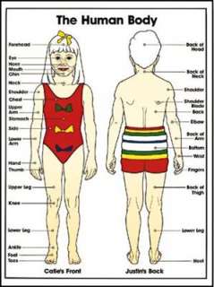 Der Menschliche Körper in Englisch, 60,5 x 45,5 cm   laminiertes 
