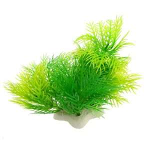  Como Aquarium Fish Tank Yellow Green Leaves 3.5 High 