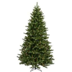   54 Black Hills Spruce 700 Multi Color Lights Christmas Tree (A894177