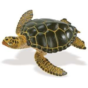  Sea Turtle Toys & Games