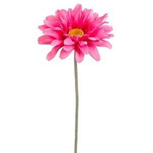 Pack of 12 Two Tone Pink Gerbera Daisy Flower Artificial 