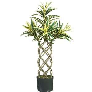  Nearly Natural 6598 GW Braided Dracaena  Green White