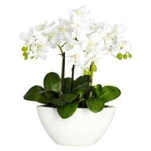  Exclusive By Nearly Natural Phalaenopsis Silk Flower 