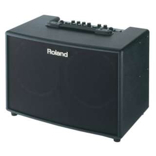 Roland AC 90 90 Watt 2x8 Inch Acoustic Chorus Guitar Amp 761294404843 
