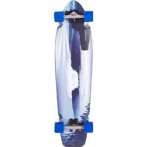  Riviera Steamer Lane Complete 10x41 Skateboarding 