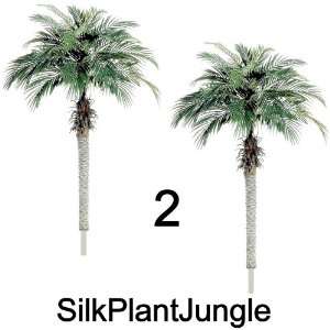  1 lot of 2 Silk Artificial 6 foot Phoenix Palm Tree Plants 