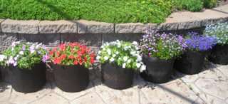 New Smart Pots for Container Gardening Cloth 30 Gallon  
