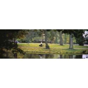 Person Riding a Bicycle in a Park, Vondelpark, Amsterdam, Netherlands 