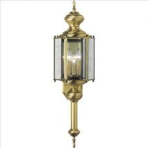  Brass Guard Outdoor Wall Lantern with Long Tail in Weathered Brass 