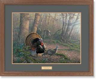 Michael Sieve Tom Foolery Wild Turkeys Framed Print  