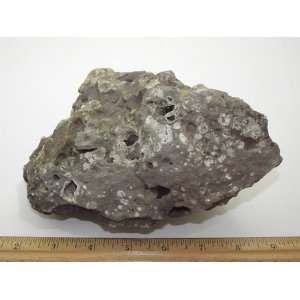   Or Lamproite From Crater Of Diamonds Arkansas 