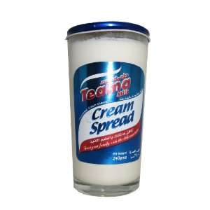 Tema Cream Cheese Spread (Queso Fundido) 8.5 Oz  Grocery 