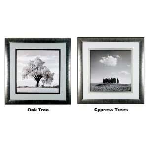  International Arts Oak Tree & Cypress Trees Framed Black 