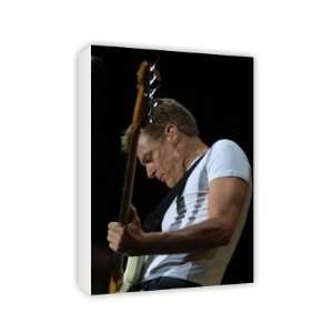 Bryan Adams   Canvas   Medium   30x45cm