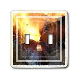 Cassie Peters Photography   Fire by Angelandspot   Light Switch Covers 