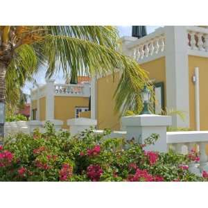  Amsterdam Manor, Palm Beach, Aruba, Caribbean Photographic 