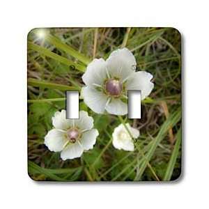 Krista Funk Creations Waterfront Flowers   Dreamy White Flowers in the 