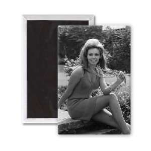  Martha Hyer   3x2 inch Fridge Magnet   large magnetic 