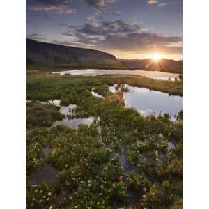  Sunrise in Porphyry Basin, an Alpine Basin in the San Juan 