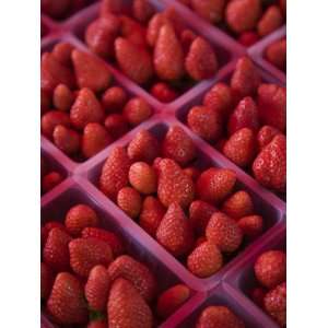 Reunion Island, St Paul, Seafront Market, Strawberries Photographic 