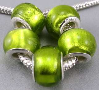 5pcs Murano Lampwork Glass Beads Fit Charm Bracelet g47  