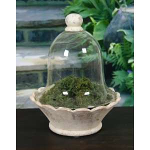  Glass Dome Bell Jar Cloche with Terra Cotta Knob (top only 