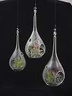 Tillandsia Collections, Hanging Glass Orb Terrariums items in air 
