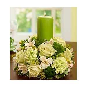 Flowers by 1800Flowers   Celebration Centerpiece   Medium  