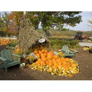 Gourds at the Moulton Farm farmstand in Meredith, New Hampshire, USA 