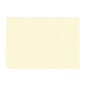  Sennelier Soft Pastel   Standard Box of 3   Nickel Yellow 