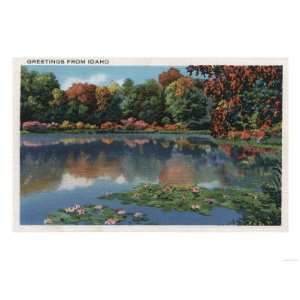   Lake Scene with Lily Pads   Idaho Giclee Poster Print, 12x9 Home