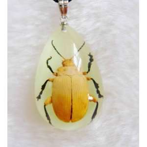  Necklace With Real Golden Leaf Beetle Lucite Pendant Glow 