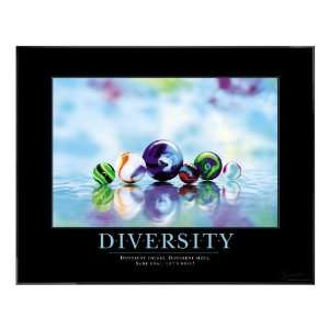  Successories Diversity Marbles Motivational Poster Office 