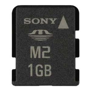  Sony 1 GB Memory Stick Micro (M2) Flash Memory Card Electronics