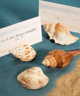 These Natural Selections Collection shell design place card holders 
