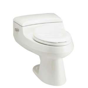   Comfort Height Pressure Lite 1.0 GPF Elongated Toilet Finish Ice Grey