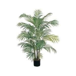 4 Areca Silk Palm Tree