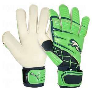  Puma v1.11 Goalie Gloves Fluo Green/Navy/White/8 Sports 