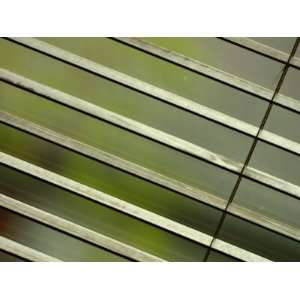  Tilted and Cropped View of Venetian Blind Photographic 