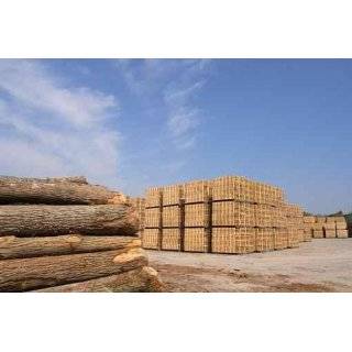 Sawn Trees and Wooden Packing Crates   48W x 32H   Peel and Stick 